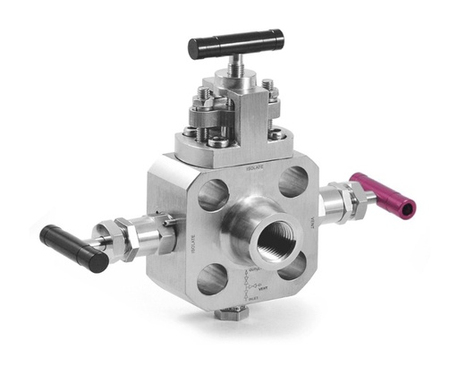 [BBSS-NN-FNS8-] 316 SS, BB Series Instrument Single Block and Bleed Valve(NN), Block: Needle(0.16" Orifice), Bleed: Needle, 1/2 Male NPT × 1/2 Female NPT × 1/4 Female NPT(Test Port with Plug), PTFE Packing, Valves horizontally Mounted